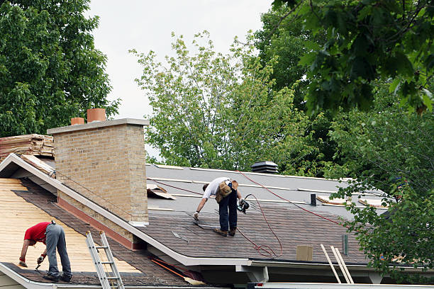 Best Roof Maintenance Services  in Woodbury Heights, NJ