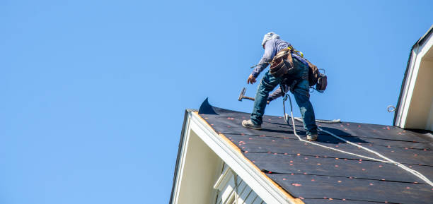 Best Roof Leak Repair  in Woodbury Heights, NJ